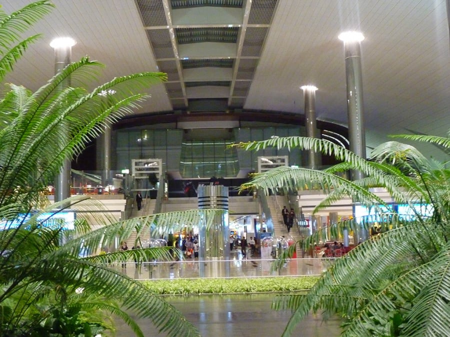Dubai airport with plants