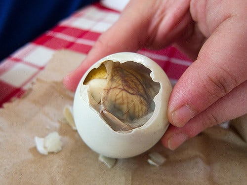 A cracked duck egg showing a foetus inside