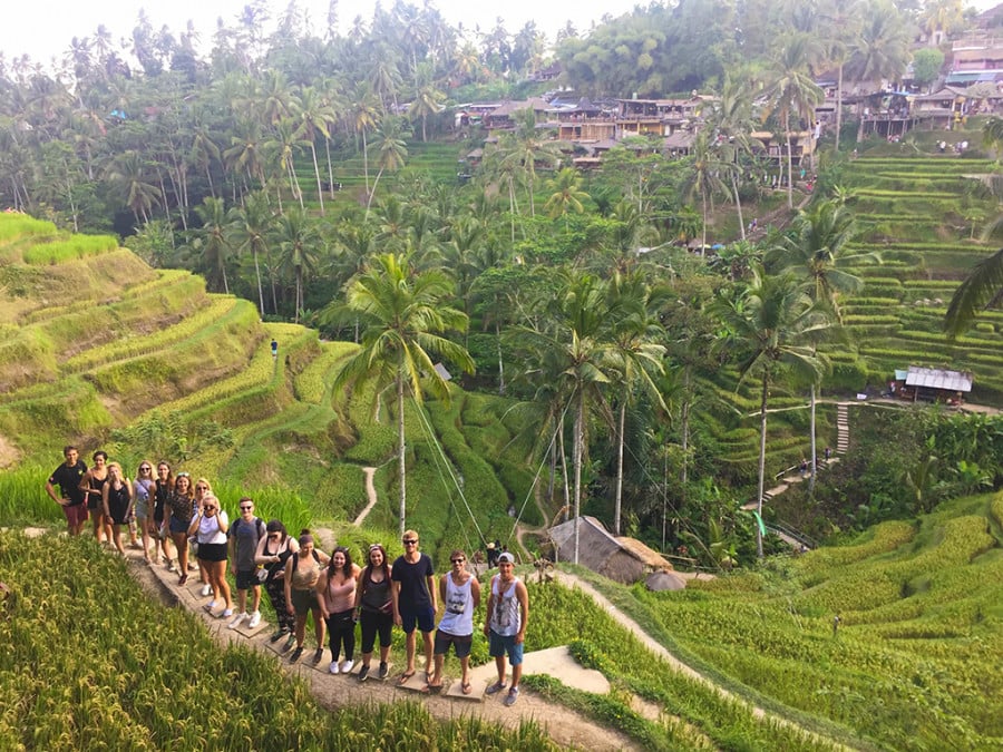 People standing on a walking trail amongst rice paddies