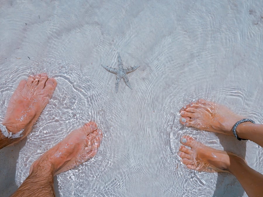 Two sets of feet in shallow water next to a starfish